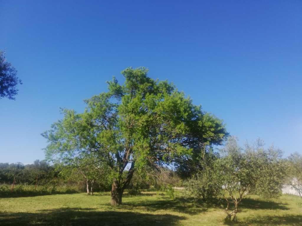 Campingplatz S&m