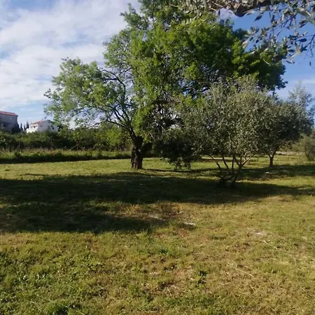 S&M Camping Sveti Filip i Jakov Exterior photo