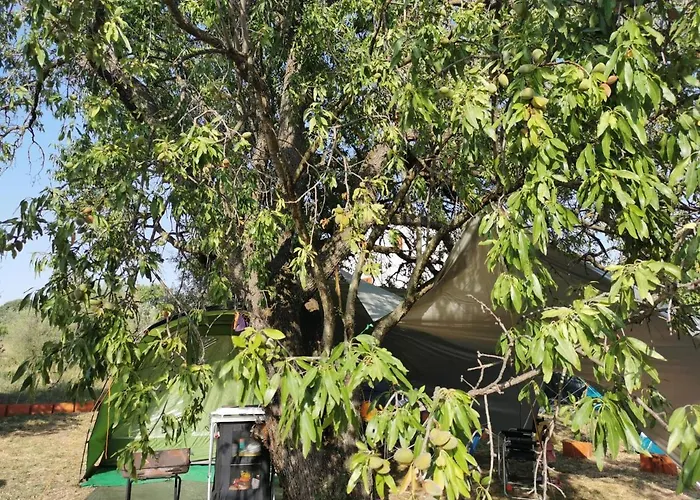 S&M Camping