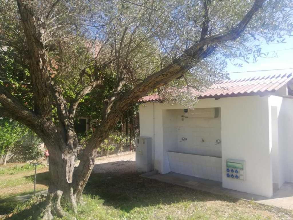 Campsite S&m